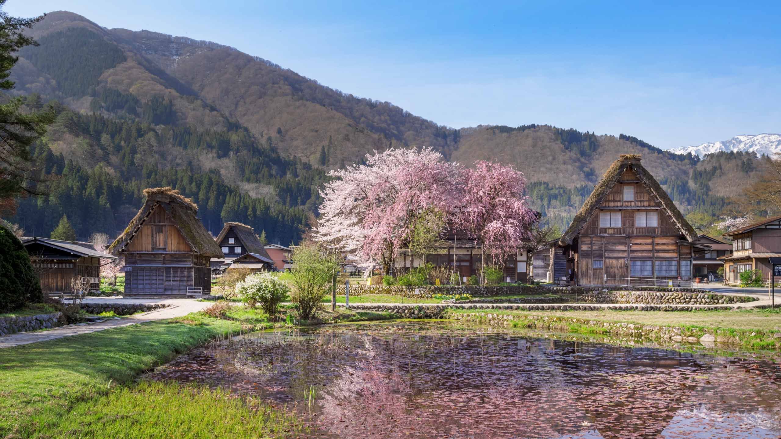 Tailor-Made Journey | Japanese Alps Adventure | Cox \u0026 Kings, image size:2560x1440